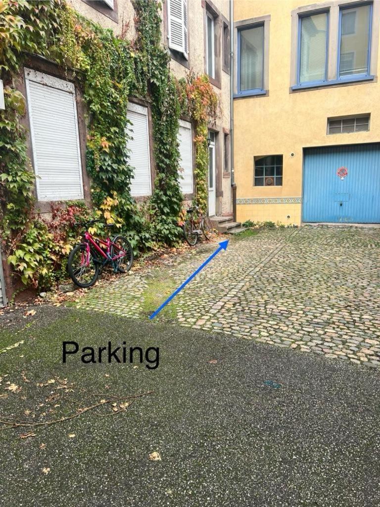 Apartment Chez Sandrine, Mon Elegant + Parking Strasbourg